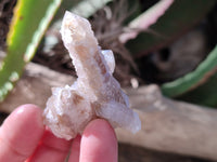 Natural Lemonite Fairy Spirit Quartz Clusters x 35 From Boekenhouthoek, South Africa - Toprock Gemstones and Minerals