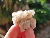 Natural Lemonite Fairy Spirit Quartz Clusters x 35 From Boekenhouthoek, South Africa - Toprock Gemstones and Minerals
