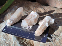 Natural Lemonite Fairy Spirit Quartz Clusters x 35 From Boekenhouthoek, South Africa - Toprock Gemstones and Minerals