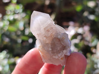 Natural Lemonite Fairy Spirit Quartz Clusters x 35 From Boekenhouthoek, South Africa - Toprock Gemstones and Minerals