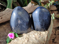 Polished Black Tourmaline Standing Free Form x 2 From Madagascar - Toprock Gemstones and Minerals