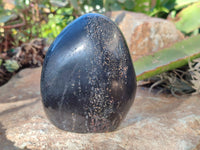 Polished Black Tourmaline Standing Free Form x 2 From Madagascar - Toprock Gemstones and Minerals