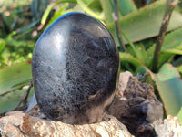 Polished Black Tourmaline Standing Free Form x 2 From Madagascar - Toprock Gemstones and Minerals