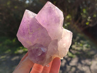 Natural Jacaranda Amethyst Quartz Cluster x 3 From Mumbwa, Zambia - Toprock Gemstones and Minerals