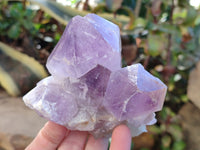 Natural Jacaranda Amethyst Quartz Cluster x 3 From Mumbwa, Zambia - Toprock Gemstones and Minerals