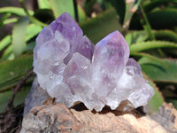 Natural Jacaranda Amethyst Quartz Cluster x 3 From Mumbwa, Zambia - Toprock Gemstones and Minerals