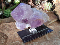 Natural Jacaranda Amethyst Quartz Cluster x 3 From Mumbwa, Zambia - Toprock Gemstones and Minerals