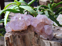 Natural Amethyst Spirit Quartz Clusters x 12 From Boekenhouthoek, South Africa - Toprock Gemstones and Minerals