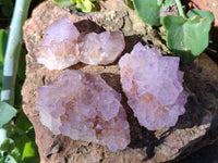 Natural Amethyst Spirit Quartz Clusters x 12 From Boekenhouthoek, South Africa - Toprock Gemstones and Minerals
