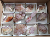 Natural Amethyst Spirit Quartz Clusters x 12 From Boekenhouthoek, South Africa - Toprock Gemstones and Minerals