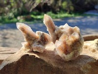 Natural Golden Hematoid Coated Fairy Spirit Quartz Clusters x 12 From Boekenhouthoek, South Africa - Toprock Gemstones and Minerals