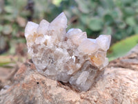 Natural Golden Hematoid Coated Fairy Spirit Quartz Clusters x 12 From Boekenhouthoek, South Africa - Toprock Gemstones and Minerals