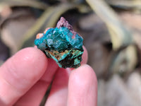 Natural Mini Dioptase On Dolomite Specimens x 35 From Likasi, Congo - Toprock Gemstones and Minerals