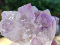Natural Jacaranda Amethyst Quartz Cluster x 3 From Mumbwa, Zambia - Toprock Gemstones and Minerals