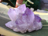 Natural Jacaranda Amethyst Quartz Cluster x 3 From Mumbwa, Zambia - Toprock Gemstones and Minerals