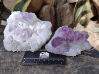 Natural Jacaranda Amethyst Quartz Cluster x 3 From Mumbwa, Zambia - Toprock Gemstones and Minerals