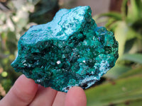 Natural Dioptase with Chrysocolla, Malachite and Shattuckite Specimens x 6 From Likasi, Congo - Toprock Gemstones and Minerals