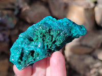 Natural Dioptase with Chrysocolla, Malachite and Shattuckite Specimens x 6 From Likasi, Congo - Toprock Gemstones and Minerals