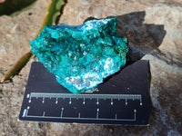 Natural Dioptase with Chrysocolla, Malachite and Shattuckite Specimens x 6 From Likasi, Congo - Toprock Gemstones and Minerals