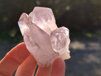 Natural Mixed Small Clusters and Single Crystals x 2.76 Kg Lot From Southern Africa - Toprock Gemstones and Minerals