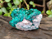 Natural Dioptase on Dolomite Matrix Specimens x 6 From Likasi, Congo - Toprock Gemstones and Minerals