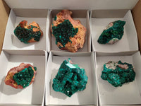 Natural Dioptase on Dolomite Matrix Specimens x 6 From Likasi, Congo - Toprock Gemstones and Minerals
