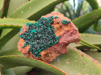 Natural Dioptase on Dolomite Matrix Specimens x 6 From Likasi, Congo - Toprock Gemstones and Minerals