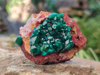 Natural Dioptase on Dolomite Matrix Specimens x 6 From Likasi, Congo - Toprock Gemstones and Minerals