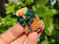 Natural Dioptase on Dolomite Matrix Specimens x 20 From Likasi, Congo - Toprock Gemstones and Minerals