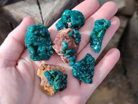 Natural Dioptase on Dolomite Matrix Specimens x 20 From Likasi, Congo - Toprock Gemstones and Minerals