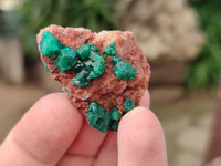 Natural Dioptase on Dolomite Matrix Specimens x 20 From Likasi, Congo - Toprock Gemstones and Minerals