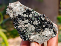 Natural Libethenite Crystals On Dolomite Matrix Specimens x 6 From Shituru, Congo - Toprock Gemstones and Minerals