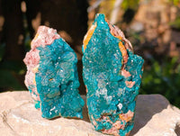 Natural Dioptase on Dolomite Matrix Specimens x 6 From Likasi, Congo - Toprock Gemstones and Minerals