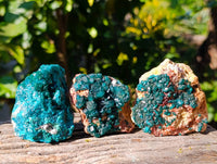 Natural Dioptase on Dolomite Matrix Specimens x 6 From Likasi, Congo - Toprock Gemstones and Minerals