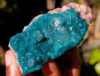 Natural Dioptase on Dolomite Matrix Specimens x 6 From Likasi, Congo - Toprock Gemstones and Minerals