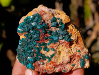 Natural Dioptase on Dolomite Matrix Specimens x 6 From Likasi, Congo - Toprock Gemstones and Minerals