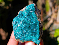 Natural Dioptase on Dolomite Matrix Specimens x 6 From Likasi, Congo - Toprock Gemstones and Minerals