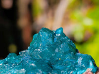 Natural Dioptase on Dolomite Matrix Specimens x 6 From Likasi, Congo - Toprock Gemstones and Minerals