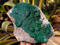 Natural Ball Malachite and Drusy Quartz On Dolomite Matrix Specimens x 2 From Kambove, Congo - Toprock Gemstones and Minerals