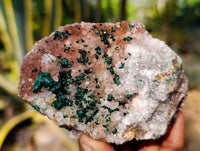 Natural Ball Malachite and Drusy Quartz On Dolomite Matrix Specimens x 6 From Kambove, Congo - Toprock Gemstones and Minerals