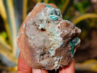 Natural Drusy Coated Chrysocolla on Dolomite Matrix Specimens x 6 From Congo - Toprock Gemstones and Minerals
