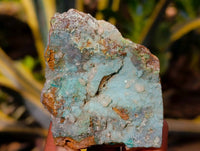 Natural Drusy Coated Chrysocolla on Dolomite Matrix Specimens x 6 From Congo - Toprock Gemstones and Minerals