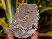 Natural Drusy Coated Chrysocolla on Dolomite Matrix Specimens x 6 From Congo - Toprock Gemstones and Minerals