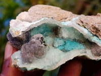 Natural Drusy Coated Chrysocolla on Dolomite Matrix Specimens x 6 From Congo - Toprock Gemstones and Minerals