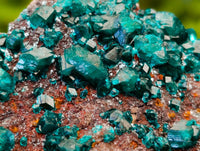 Natural Dioptase on Dolomite Matrix Specimens x 12 From Likasi, Congo - Toprock Gemstones and Minerals