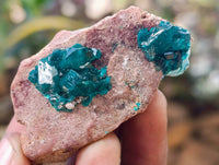 Natural Dioptase on Dolomite Matrix Specimens x 12 From Likasi, Congo - Toprock Gemstones and Minerals