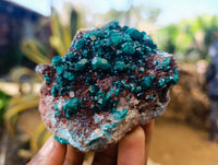 Natural Dioptase on Dolomite Matrix Specimens x 12 From Likasi, Congo - Toprock Gemstones and Minerals