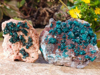 Natural Dioptase on Dolomite Matrix Specimens x 12 From Likasi, Congo - Toprock Gemstones and Minerals