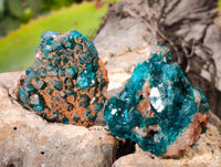 Natural Dioptase on Dolomite Matrix Specimens x 12 From Likasi, Congo - Toprock Gemstones and Minerals