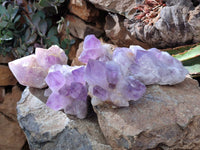 Natural Jacaranda Amethyst Quartz Clusters x 5 From Mumbwa, Zambia - Toprock Gemstones and Minerals